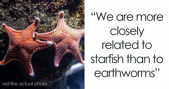 60 Fun Facts That Professionals Shared From Their Area Of Expertise