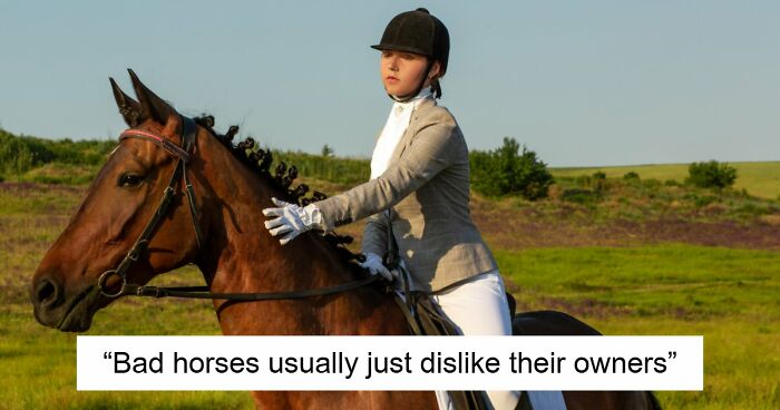 60 Fun Facts That Professionals Shared From Their Area Of Expertise