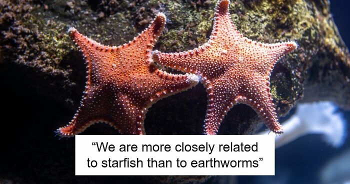 60 Fun Facts That Professionals Shared From Their Area Of Expertise