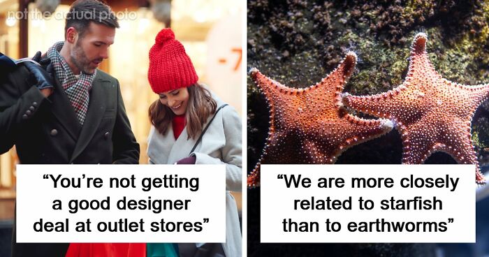 60 Fun Facts That Professionals Shared From Their Area Of Expertise