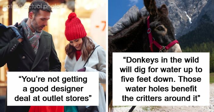 60 Fun Facts That Professionals Shared From Their Area Of Expertise