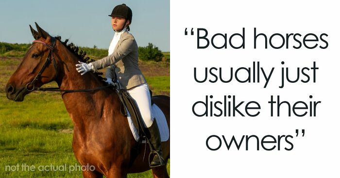 60 Fun Facts That Professionals Shared From Their Area Of Expertise