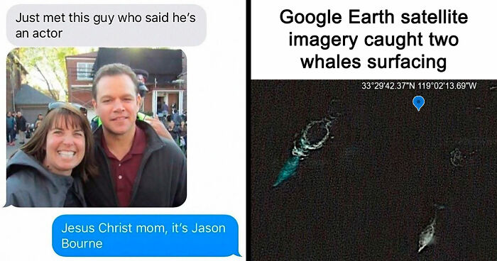 60 Amusing Internet Moments That Will Live On Forever As Screenshots (New Pics)