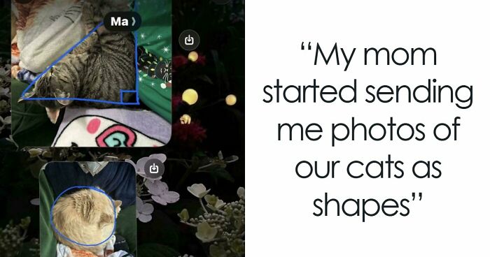 60 Amusing Internet Moments That Will Live On Forever As Screenshots (New Pics)
