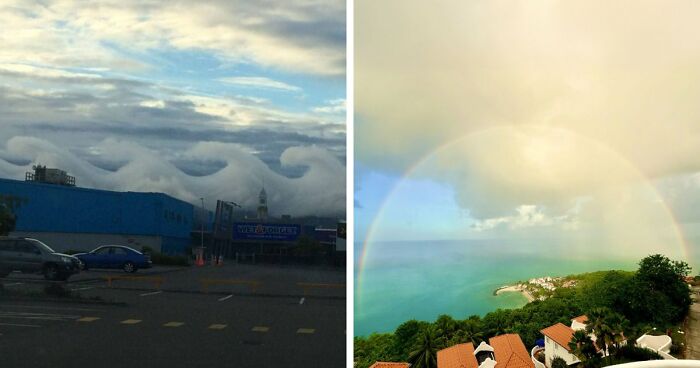 77 People Share Photos They Took Of Rare Moments That May Never Happen Again