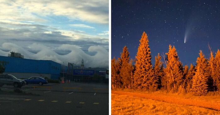 77 People Share Photos They Took Of Rare Moments That May Never Happen Again