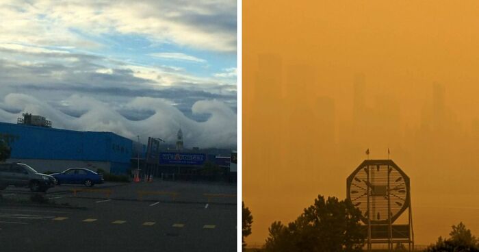 77 People Share Photos They Took Of Rare Moments That May Never Happen Again