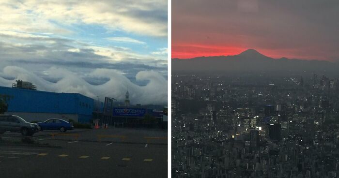 77 People Share Photos They Took Of Rare Moments That May Never Happen Again