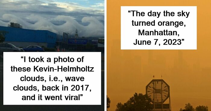 77 People Share Photos They Took Of Rare Moments That May Never Happen Again