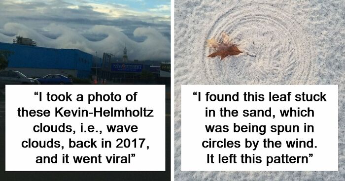 77 People Share Photos They Took Of Rare Moments That May Never Happen Again