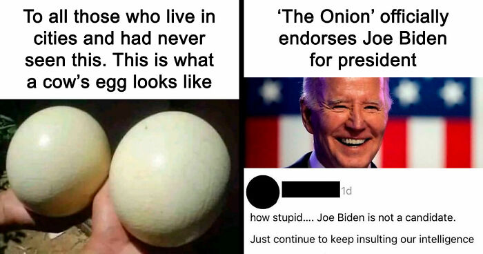 57 Times People ‘Ate The Onion’ And Fell For Fake Satirical News Headlines (New Pics)