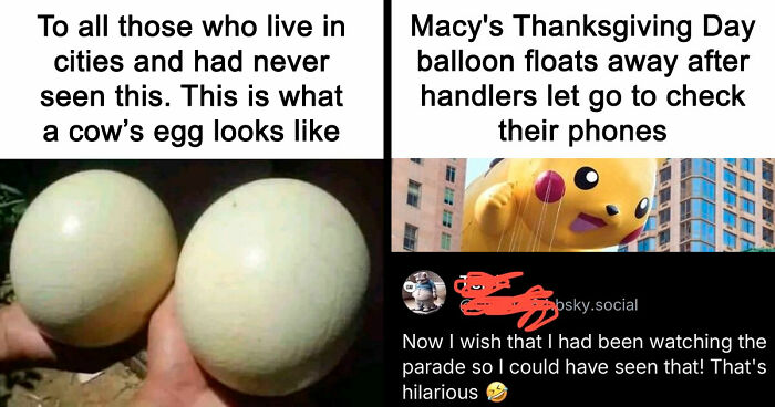 57 Times People ‘Ate The Onion’ And Fell For Fake Satirical News Headlines (New Pics)