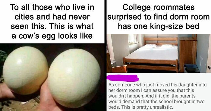 57 Times People ‘Ate The Onion’ And Fell For Fake Satirical News Headlines (New Pics)