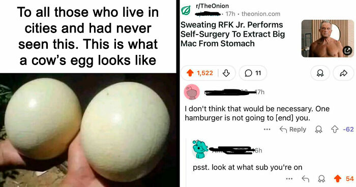 57 Times People ‘Ate The Onion’ And Fell For Fake Satirical News Headlines (New Pics)
