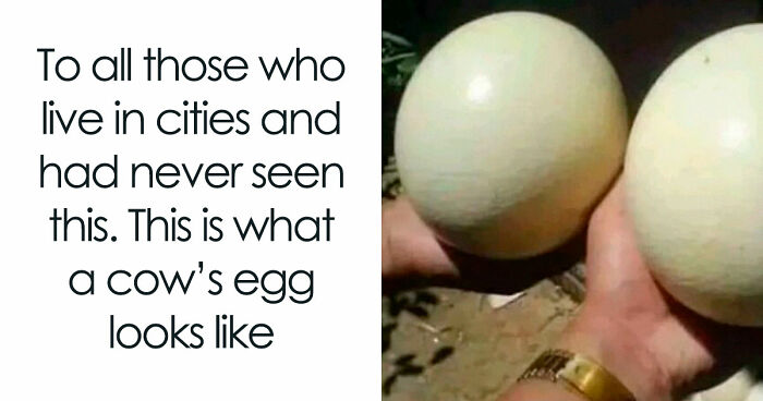 57 Times People ‘Ate The Onion’ And Fell For Fake Satirical News Headlines (New Pics)