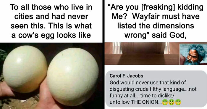 57 Times People ‘Ate The Onion’ And Fell For Fake Satirical News Headlines (New Pics)