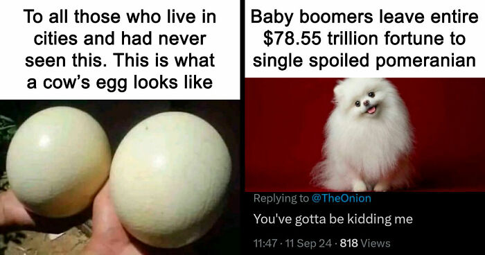 57 Times People ‘Ate The Onion’ And Fell For Fake Satirical News Headlines (New Pics)