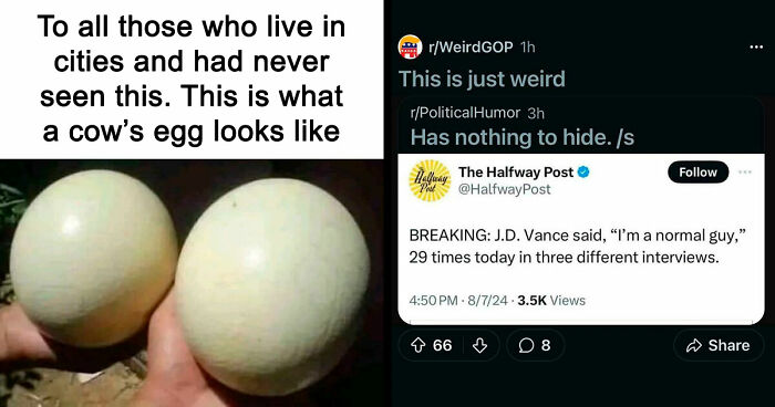 57 Times People ‘Ate The Onion’ And Fell For Fake Satirical News Headlines (New Pics)