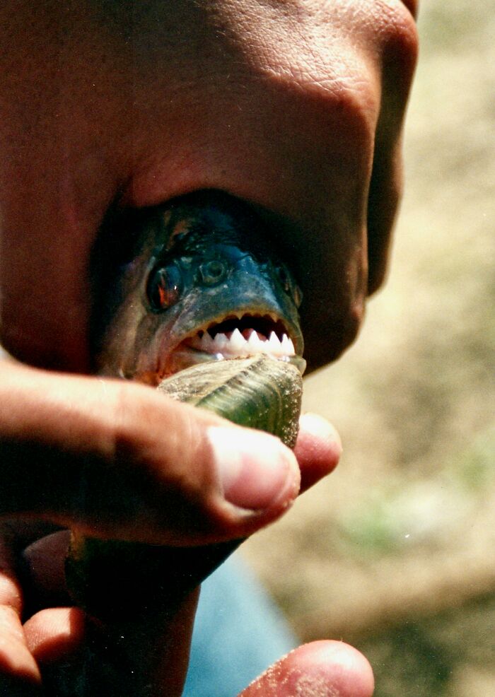 55 Shocking And Dark Secrets That Could Ruin People’s Lives If They Were Ever Revealed