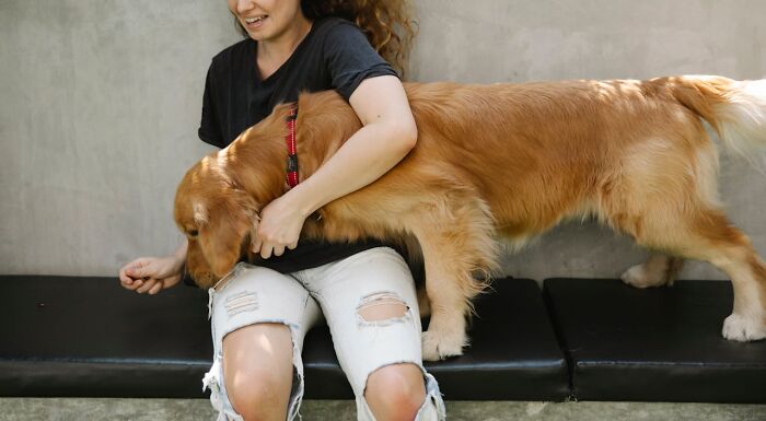 Happy woman hugging golden retriever dog on bench