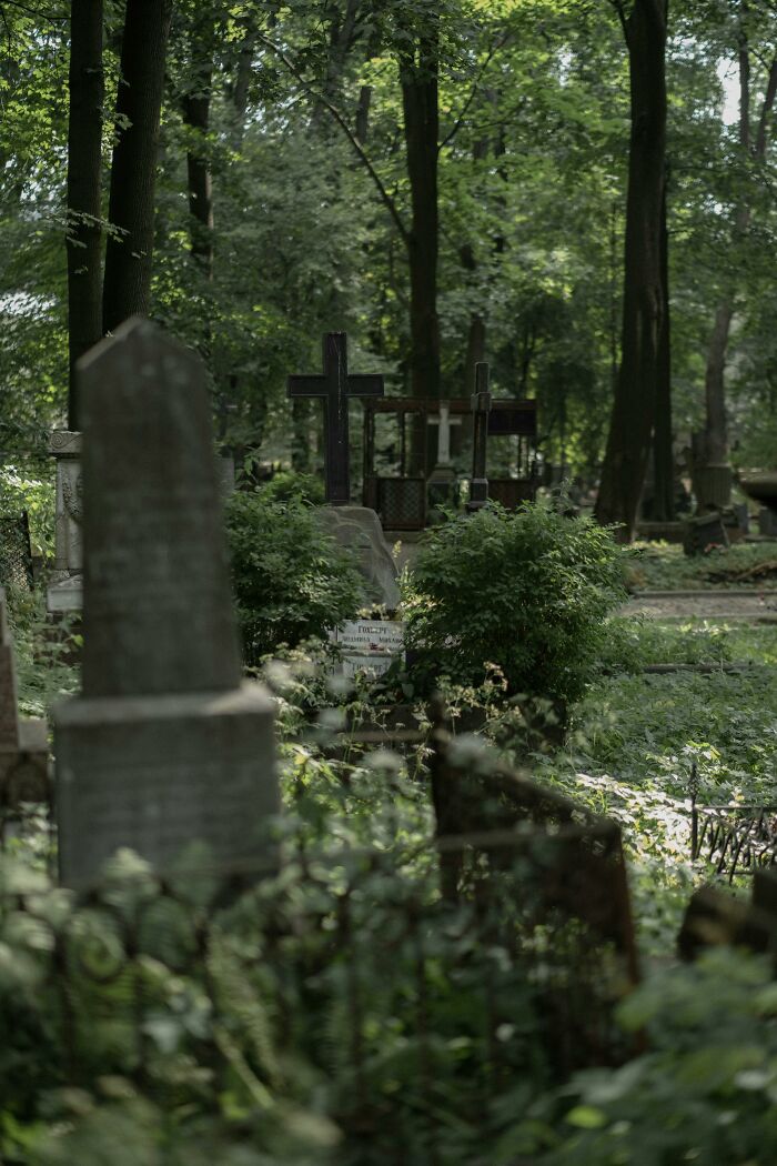 49 Unexplainable And Eerie Things People Spotted In Their Photos Long After Taking Them