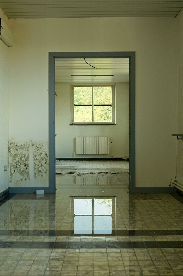Moldy room with water on floor reflecting window sign of laziness causing disaster