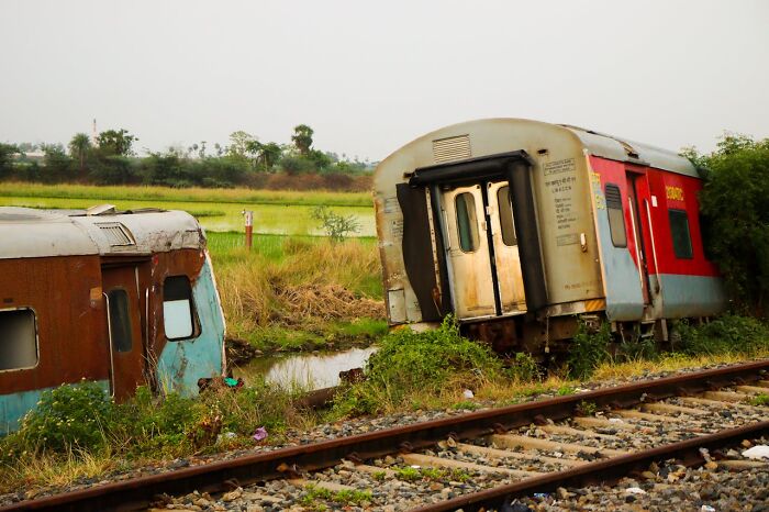 Derailment train cars abandoned near overgrown railway tracks