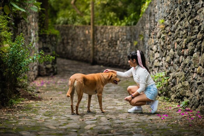 Woman petting dog on cobblestone path with stone wall