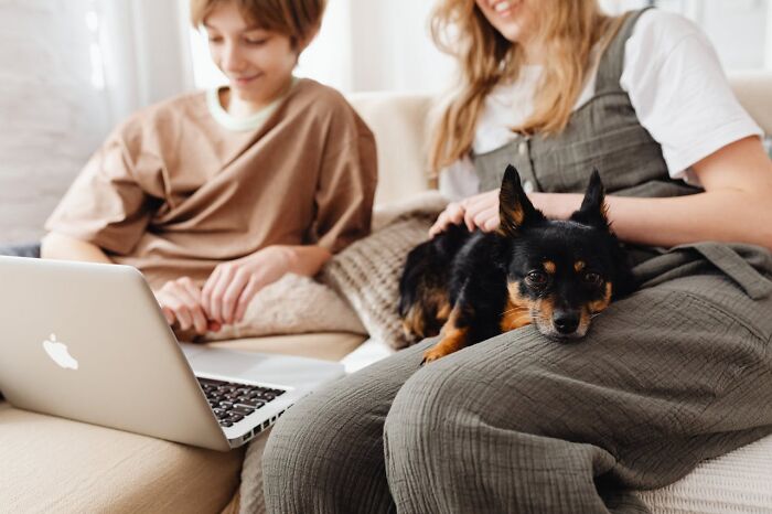 Small dog resting on woman's lap with boy using laptop nearby