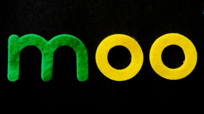 Colorful felt letters spelling the word moo highlighting words ending in double oo