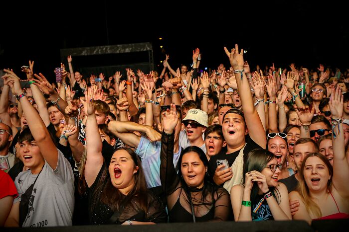 A crowd of concert-goers with their hands in the air, expressing varying emotions from excitement to second-hand embarrassment.