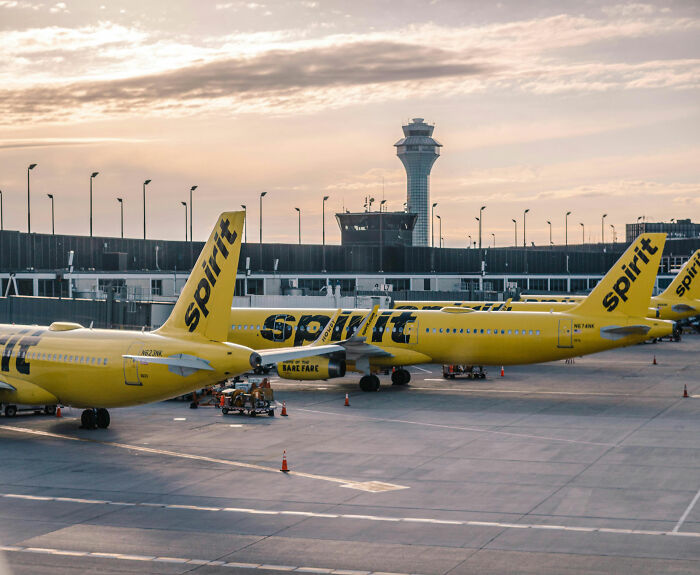 Several Spirit Airlines yellow planes lined up at airport during sunset