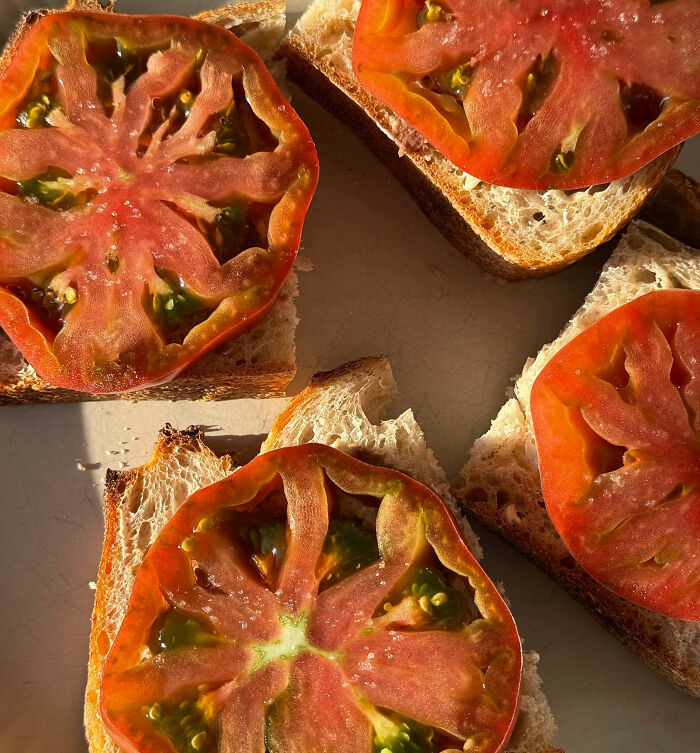 Slices of tomato on bread for low-cost poverty meals