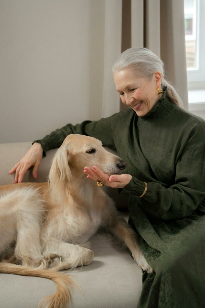 Smiling elderly woman petting a golden retriever sitting on sofa