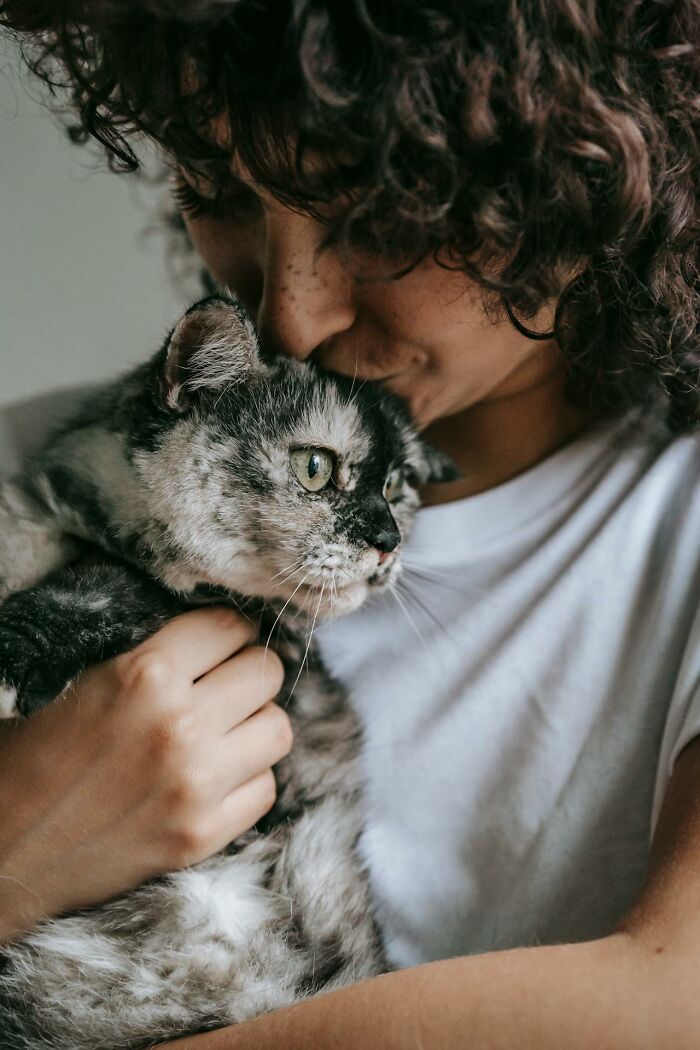 Person holding and kissing a grey cat indoors