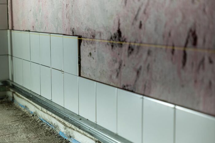 Wall tiles partially installed on moldy wall showing laziness in home repair