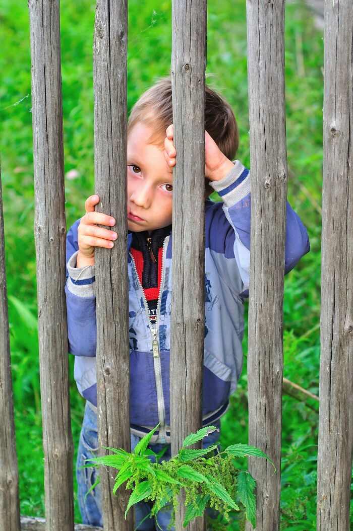 Boy looking through wooden fence with green grass background