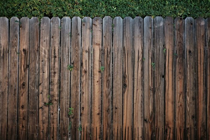 Wooden fence symbolizing boundaries with neighbors from hell