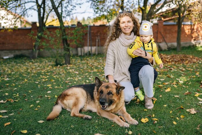 “Saved Me From Becoming One Of His Victims”: 48 Incredible Stories About Animals Rescuing Humans