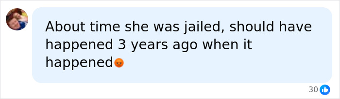Screenshot of social media comment on mom sentencing