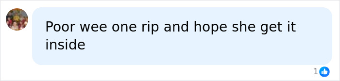 Comment expressing sympathy for baby and hopes for mom's acceptance