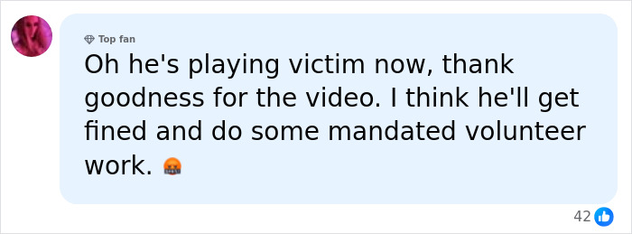 Comment criticizes tourist for playing victim after seal rock incident