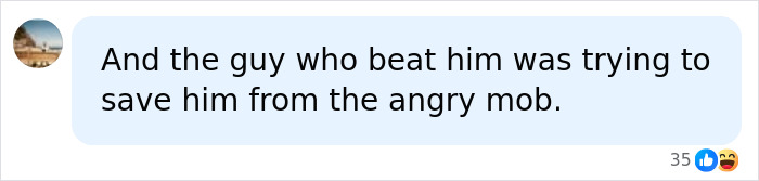 Comment about man trying to save tourist from angry mob related to seal incident
