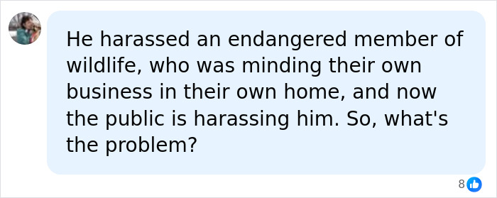 Comment discusses harassment of endangered seal and public response