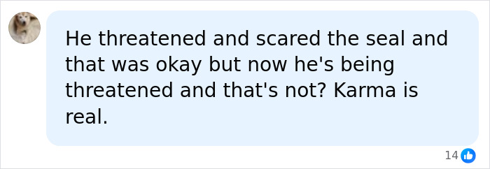 Comment about tourist threatening and scaring beloved seal karma