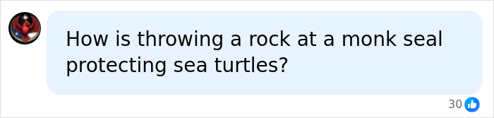 Comment asking how throwing rock at monk seal protects sea turtles