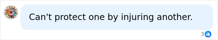 Comment stating one can't protect seals by injuring another