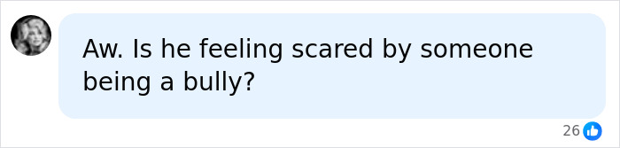Comment questioning if tourist feels scared by being a bully