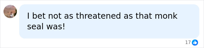 Comment betting the monk seal was most threatened in tourist incident