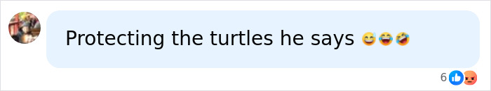 Comment mocking claim about protecting turtles in tourist legal case